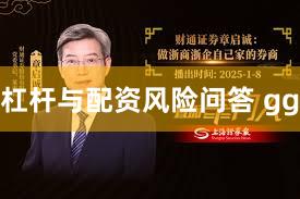 杠杆与配资风险问答 gg