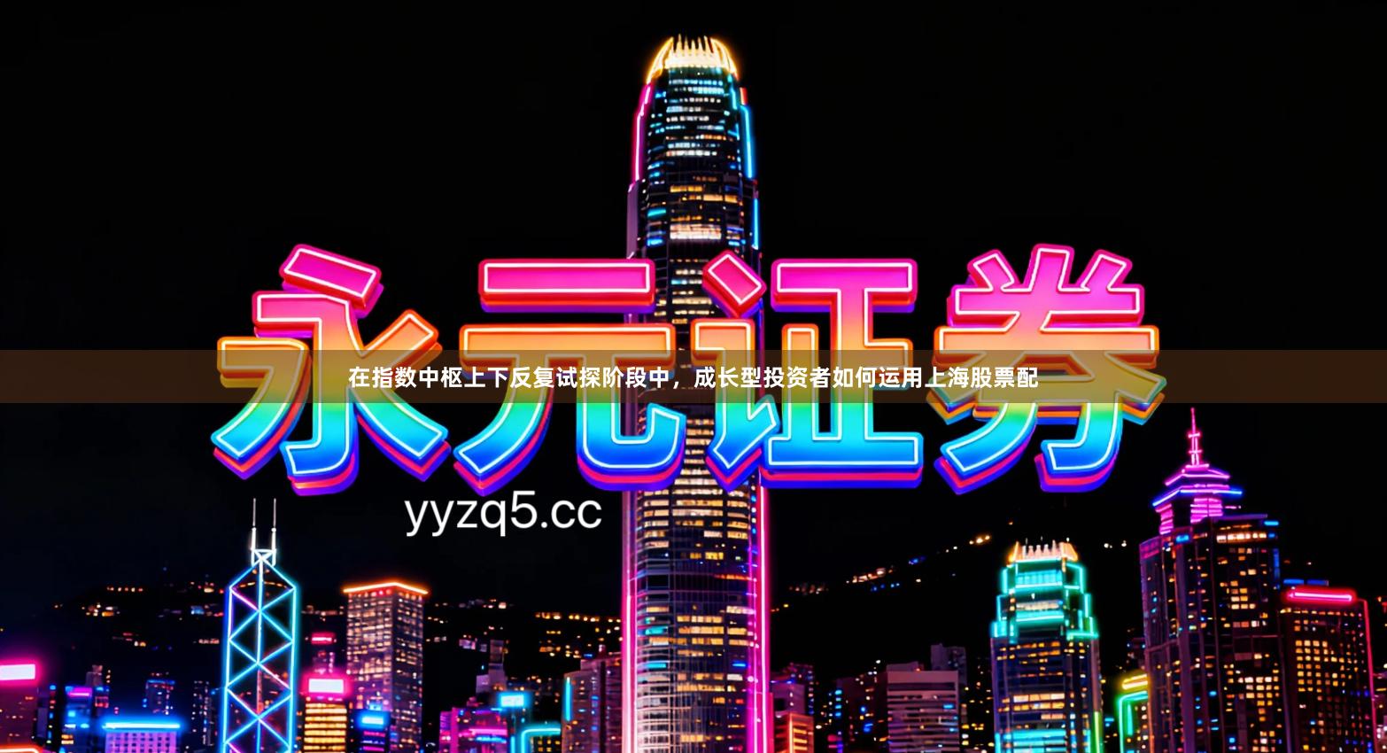 在指数中枢上下反复试探阶段中，成长型投资者如何运用上海股票配